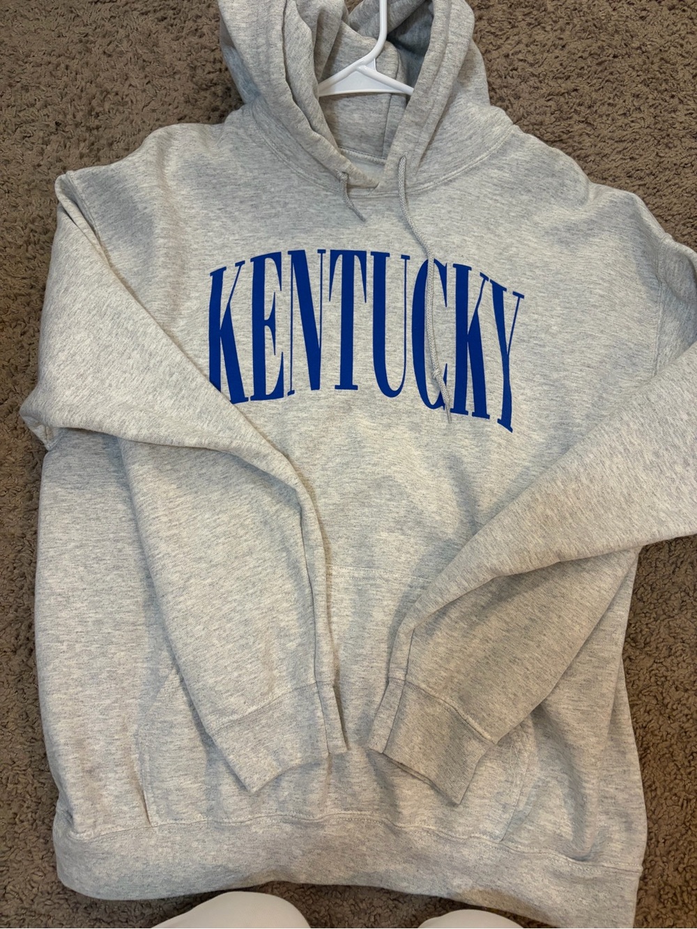 Grey Crewneck Sweater with Blue